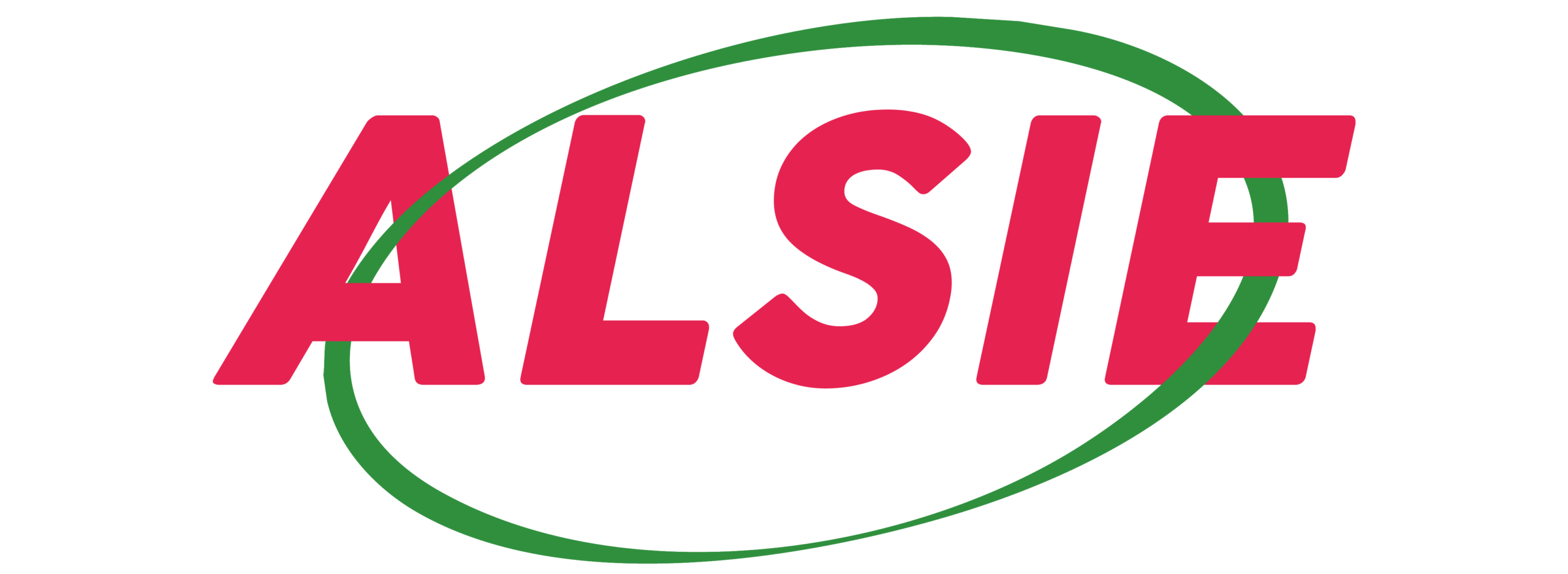 ¿En que consiste el asesoramiento de tesis? - Alsie